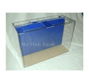 
<p>40U UniQuarium with built-in filter includes pump, light hood or Polycarbonate Light Plate and Limited Lifetime Warranty. NOTE, DUE TO THE COVIC-19 PANDEMIC AND THE GOVERNMENTS PRIORITY TOWARDS FACE MASK PRODUCTION OUR DELIVERY TIME ON ACRYLIC AQUARIUMS
 CAN BE 3 TO 5 WEEKS.</p>
<p>MYFISHTANK.COM offers the UniQuarium™ brand acrylic aquariums with the 3-in-1 filtration system incorporated into the back of the aquarium. These systems combine mechanical, chemical, and biological filtration chambers into a compact area and are the perfect
 choice for both the novice and the seasoned hobbyist preferring a simpler system. Unlike conventional aquarium systems the UniQuarium is very easy to set-up and use. No drilling, no hanging filters or hoses to detract from the beauty of the aquarium.</p>
<p>The UniQuarium’s larger biological area and high flow Powerhead Pump, included, makes it ideal for saltwater and freshwater set-ups. The UniQuarium’s filter compartment is incorporated into the aquariums overall dimensions. All acrylic material is domestic
 cast, all aquarium seams are chemically bonded together and all tanks incorporate a solid top panel, with cut-outs, for added structural support. All UniQuariums come with your choice of &nbsp;dark blue, or black colored back.</p>
<p>MYFISHTANK.COM includes into these Clear-For-Life acrylic aquariums an empty black ABS light hood or a clear polycarbonate Light Plate, which serve as covers for the tanks main top opening. You can UPGRADE the lighting to LED Lighting. Substitute the black
 light hood for a clear poly-lid and our Current low profile LED Lighting fixture. Super bright 6500K white and 445nm blue LEDs come together in low voltage, 12V DC, sleek unit making it super safe for aquarium use. This fixture also features independent control
 allowing users to select a range of color modes. Sliding legs allow for a quick and easy installation. See Lighting Options.
</p>
<p>At this time there is no optional Clear-for-Life™ Venturi protein skimmer.</p>
