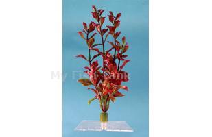 Red Ludwigia<span>, 6 &quot;, Fantastic Water Wonders plants. Select&nbsp;a variety of beautiful aquatic plant replicas and turn your aquarium into a lush, green paradise for your fish</span><span><font face="Times New Roman">!</font></span>