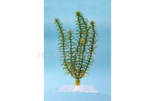 Anacharis - 12 in.&nbsp; Fantastic Water Wonders plants plug directly into your Water Wonders ornament Choose from a variety of beautiful aquatic plant replicas and turn your aquarium into a lush, green paradise for your fish