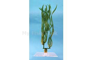 Corkscrew Val - 18 in.&nbsp; Fantastic Water Wonders plants are beautiful aquatic plant replicas and in turn will provide a natural, safe and lush paradise for your fish. Durable plastic plants with gravel held shoe to minimize floating.