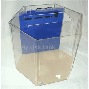 
<p>55 gallon Hexagon <span>Seahorse tank comes complete&nbsp;with built-in filter system, a&nbsp;light hood and a florescent fixture.( bulb not included ) and the Clear For Life Warranty. Modified specifically for seahorses. Tank measures 25 inches from one flat panel
 to the opposing flat panel, and is 24 inches tall. </span></p>
<p><span>MYFISHTANK.COM has designed the perfect seahorse tank! We have modified the Clear-For-Life UniQuarium™ brand acrylic aquariums with the 3-in-1 Wet-Dry Trickle filter system incorporated into the back of the aquarium specifically intended for seahorses.
 These systems combine mechanical, chemical, and biological filtration into a compact area and are the perfect choice for both the novice and the seasoned hobbyist preferring a simpler system. Unlike conventional aquarium systems the UniQuarium is very easy
 to set-up and use. No drilling, no hanging filters or hoses to detract from the beauty of the aquarium.
</span></p>
<p><span>We have increased the strength of the submersible Rio brand water pump and added a ball valve to control the water flow, along with a discharge spray bar to diffuse water flow evenly across the tank, and we offer an optional venturi driven protein
 skimmer and Hex bracket.&nbsp; Additionally, we have </span><span>included the fluorescent light fixture ( bulb not included ) and the black ABS light hood. You can UPGRADE the lighting to LED Lighting. Substitute the black light hood and florescent fixture for
 a clear poly-lid and a CURRENT brand Satelite low profile LED Lighting fixture. Super bright 6500K white and 445nm blue LEDs come together in low voltage, 12V DC, sleek unit making it super safe for aquarium use. This fixture also features independent control
 allowing users to select a range of color modes. Sliding legs allow for a quick and easy installation. This system also makes adding multiple fixtures a snap, See Lighting Options.</span><span>&nbsp;</span></p>
<p><span>All acrylic material is domestic cast, all aquarium seams are chemically bonded together and all tanks incorporate a solid top panel for added structural support. Skillfully crafted with stylish rounded corners.
</span></p>
<p><span>All UniQuariums come with your choice of light blue, dark blue, or black colored back.
</p>
<p>&nbsp;</p>
</span>
<p>&nbsp;</p>
