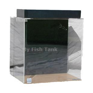 
<p>This 45 gallon&nbsp;Rectangular Seahorse tank&nbsp;comes complete&nbsp;with built-in filter system, a&nbsp;light hood and a florescent fixture&nbsp;and the Clear For Life Warranty.
</p>
<p>MYFISHTANK.COM has designed the perfect seahorse tank! We have modified the Clear-For-Life UniQuarium™ brand acrylic aquariums with the 3-in-1 Wet-Dry Trickle filter system incorporated into the back of the aquarium specifically intended for seahorses. These
 systems combine mechanical, chemical, and biological filtration into a compact area and are the perfect choice for both the novice and the seasoned hobbyist preferring a simpler system. Unlike conventional aquarium systems the UniQuarium is very easy to set-up
 and use. No drilling, no hanging filters or hoses to detract from the beauty of the aquarium.
</p>
<p>We have increased the strength of the submersible Rio brand water pump and added a ball valve to control the water flow, along with a discharge spray bar to diffuse water flow evenly across the tank, and we offer an optional venturi driven protein skimmer.&nbsp;
 Additionally, we have included the fluorescent light fixture ( bulb not included ) and the black ABS light hood. You can UPGRADE the lighting to LED Lighting. Substitute the black light hood and florescent fixture for a clear poly-lid and a CURRENT brand Satelite
 low profile LED Lighting fixture. Super bright 6500K white and 445nm blue LEDs come together in low voltage, 12V DC, sleek unit making it super safe for aquarium use. This fixture also features independent control allowing users to select a range of color
 modes. Sliding legs allow for a quick and easy installation. This system also makes adding multiple fixtures a snap, See Lighting Options.</p>
<p>All acrylic material is domestic cast, all aquarium seams are chemically bonded together and all tanks incorporate a solid top panel for added structural support. Skillfully crafted within each top panel are holes for heaters, slots for power filters, large
 openings for access and stylish rounded corners. </p>
<p>All UniQuariums come with your choice of light blue, dark blue, or black colored back.
</p>
