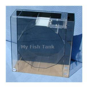 
<p>The 30&quot; Jelliquarium Tank-Only is the beginning of an exciting home, office or classroom jellyfish display system as it can be use for an In-Wall, cabinet or as an open display. Tank requires additional filter and cooling system.
</p>
<p>Our 30” Jelliquarium tank is 30.25&quot; Long by 12” Wide and 30.5” Tall and manufactured from cast acrylic material. Once framed into the wall the actual ‘porthole’ view into the tank is 21 inches in diameter. This patented 40 gallon faceted tank design includes
 true surface skimming to eliminate organics and an anti-siphon design feature to minimize back-siphon. This tank comes standard with a clear back for see-thru two-sided viewing and an optional colored back is available in Black, Light and Dark Blue ( see Background
 Option ). Jelliquarium Tank-Only comes with two 1&quot; drain bulkheads and a 1/2&quot; return Assembly.
</p>
<p>The Tank-only is priced without any lighting. Lighting options consist of an ABS light hood, two 20 watt light fixtures, one blue and one white fluorescent bulbs, or a Color Changing LED lighting System. This LED technology allows for a rainbow of colors
 in three modes, slow rotation, disco beat or individual colors. This system uses a micro processor and is operated with a hand held on-off remote control.</p>
<p>NOTE - Tank requires additional filter and cooling system.</p>
