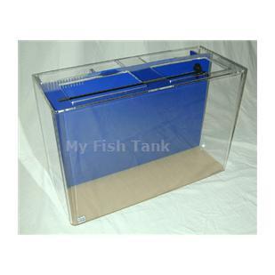 
<p>This&nbsp;65 gallon&nbsp;Rectangular Seahorse tank comes complete&nbsp;with built-in filter system, a&nbsp;light hood and a florescent fixture.( bulb not included ) and the Clear For Life Warranty.
</p>
<p>MYFISHTANK.COM has designed the perfect seahorse tank! We have modified the Clear-For-Life UniQuarium™ brand acrylic aquariums with the 3-in-1 Wet-Dry Trickle filter system incorporated into the back of the aquarium specifically intended for seahorses. These
 systems combine mechanical, chemical, and biological filtration into a compact area and are the perfect choice for both the novice and the seasoned hobbyist preferring a simpler system. Unlike conventional aquarium systems the UniQuarium is very easy to set-up
 and use. No drilling, no hanging filters or hoses to detract from the beauty of the aquarium.
</p>
<p>We have increased the strength of the submersible Rio brand water pump and added a ball valve to control the water flow, along with a discharge spray bar to diffuse water flow evenly across the tank, and we offer an optional venturi driven protein skimmer.&nbsp;
 Additionally, we have included the fluorescent light fixture ( bulb not included ) and the black ABS light hood. You can UPGRADE the lighting to LED Lighting. Substitute the black light hood and florescent fixture for a clear poly-lid and a CURRENT brand Satelite
 low profile LED Lighting fixture. Super bright 6500K white and 445nm blue LEDs come together in low voltage, 12V DC, sleek unit making it super safe for aquarium use. This fixture also features independent control allowing users to select a range of color
 modes. Sliding legs allow for a quick and easy installation. This system also makes adding multiple fixtures a snap, See Lighting Options.
</p>
<p>All acrylic material is domestic cast, all aquarium seams are chemically bonded together and all tanks incorporate a solid top panel for added structural support. Skillfully crafted within each top panel are holes for heaters, slots for power filters, large
 openings for access and stylish rounded corners. </p>
<p>All UniQuariums come with your choice of light blue, dark blue, or black colored back.</p>
