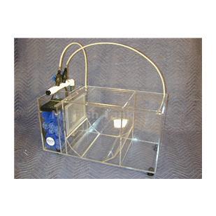 
<p>Independent and Inexpensive. This complete SYSTEM simplifies the seperation of free swimming juveniles from adults AND includes its own built-in Wet-Dry Trickle Filter. Designed as a means of keeping&nbsp;and growing individual&nbsp;species of jellyfish in a compact
 and inexpensive system.&nbsp;</p>
<p>Designed originally to seperate freshly strobilated&nbsp;jellyfish ephyra from their polyps WITHOUT ME HAVING TO MANUALLY BE INVOLVED. Additionally, once seperated the free swimming offspring are gently rotated and suspended in the second chamber where they will
 continue to grow. This tank can also seperate the offspring from clownfish, shrimps,&nbsp;seahorses and other invertebrate and&nbsp;coral larvae.
</p>
<p>Tank is 24&quot; long X 11&quot; wide and is 12&quot; tall. Tank consists of three chambers. First two chambers are refilled by the pump in the third chamber. Final chamber has a built-in Wet Dry Trickle Filter and a reliable MagDrive 190 GPH adjustable water pump.
</p>
<p>Chamber #1, &nbsp;is 7&quot; long X 11&quot; wide X 12&quot; tall,&nbsp; seperates and flushes offspring into second chamber. Note the three 1/4&quot; holes for water supply line input and 1&quot; exit hole into second chamber.</p>
<p>Chamber #2, 12&quot; long X 11&quot; wide&nbsp;X 12&quot; Tall,&nbsp;recieves freshly detached / birthed&nbsp;offspring&nbsp;and keeps them suspended&nbsp;through the use of water introduced via&nbsp;a 3/16&quot; rigid spraybar within a faceted rotation chamber.&nbsp;&nbsp;</p>
<p>Note the three 1/4&quot; holes for water supply line input, 3/16&quot; rigid horizantal spraybar&nbsp;and large verticle screened exit. Spraybar blows down across exit screen creating the rotation of water and deturing loitering juveniles away from the exit screen.</p>
<p>Filter / Pump chamber is 4&quot; long X 11&quot; wide X 12&quot; tall (with a 1&quot; flow-equalizer gap),&nbsp;and consist of a built-in Wet-Dry Trickle Filter, complete with bio-balls and drip-plate, a reliable MagDrive 190 GPH adjustable water pump, and&nbsp;threaded discharge manifold
 with dual adjustable valves and semi-rigid tubing. </p>
<p>Note that&nbsp;this system does not include a refrigeration unit for cold water species, but with the threaded water pump fittings one can be easily added. Choose exit screen sizes of 500, 1000 and 2000 microns.</p>
<p>Exits, there are three choices for the Stand Pipe to&nbsp;drain, (1) through the&nbsp;bottom of the last chanmber, (2) through the front side of the&nbsp;last chamber or (3) through the back side of the last chamber.&nbsp;</p>
