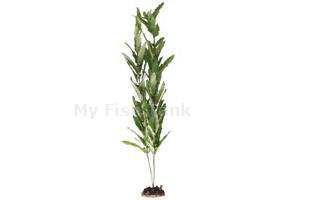 <font>This plant is absolutely safe for all aquariums. Each is attached to a weighted resin base, you simply push it into the gravel to ensure &quot;drift-free&quot; positioning. Once placed, they remain place, their lush silky leaves gently moving to the natural
 rhythms of your aquarium. This is part of the Saltwater Series and adds a realistic and different color to a saltwater tank.</font>