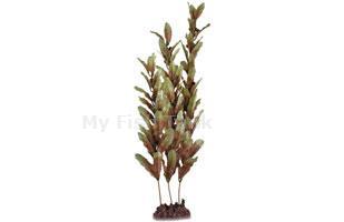 <font>Transform any marine aquarium into a beautiful, natural looking aquatic habitat...a true work of art! SeaGarden aquarium decor is an extensive selection of synthetic plants that bring the beauty of the world''s oceans to life in your aquarium. Faithfully
 detailed, and uniquely lifelike, these plants create a compelling underwater seascape. Save yourself the worry of maintaining real plants that fish like to uproot or eat. SeaGarden decor requires no planting and very little maintenance.</font>