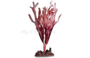 <font>Transform any marine aquarium into a beautiful, natural looking aquatic habitat...a true work of art! SeaGarden aquarium decor is an extensive selection of synthetic plants that bring the beauty of the world''s oceans to life in your aquarium. Faithfully
 detailed, and uniquely lifelike, these plants create a compelling underwater seascape. Save yourself the worry of maintaining real plants that fish like to uproot or eat. SeaGarden decor requires no planting and very little maintenance.</font>