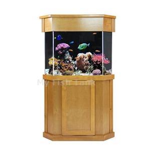 
<p>Laguna Pine Cabinet Stands are 30&quot; tall. Solid pine door trim and molding with pine veneer top and sides. Fluted columns and LARGE overlay doors with self-closing hinges. Tank insets into midband skirt 1-1/2&quot;. Stained and sealed finish. Sizes listed are
 based on footprint of aquarium. Available in unfinished, natural, light, medium, dark, whitewashed and black pine ( see choices in Finish drop-down window above ). Tank not included.</p>
<p>Laguna Pine Canopy ( sold separately ) is solid pine trim and molding with pine veneer top and sides. Fluted Columns. Canopy lid opens fully, hinges at rear and has slightly rounded edges and lip. Canopy overhangs tank 1-1/2&quot;. Fits both glass and acrylic
 tanks.</p>
