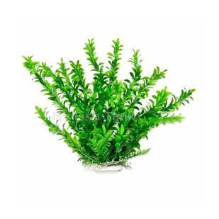 Anacharis-Like 6&quot; Aquarium Plant PD-BH06&nbsp;w/ Weight